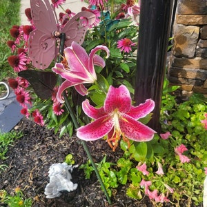 Crystal added a photo of their purchase