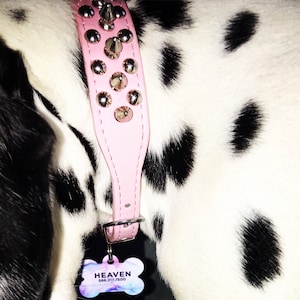 Samantha added a photo of their purchase