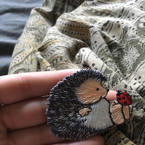 Riccio Giardino Animale Carino - Foto Gratis Su - Foto 10