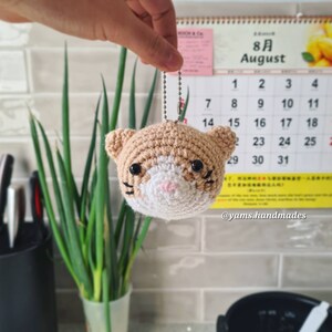 Yameng added a photo of their purchase
