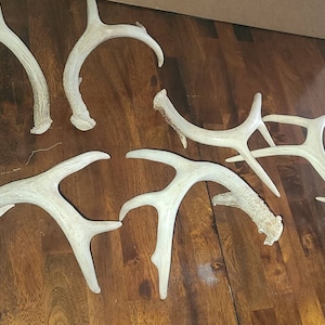 Cuenta inactiva ha añadido una foto de su compra