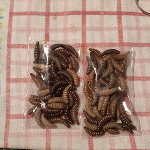 Matteo added a photo of their purchase