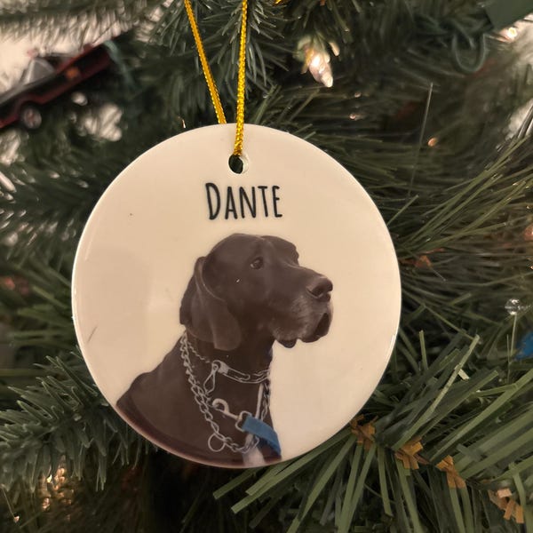 Personalized Pet Ornament Using Pet's Photo + Name Custom Ornament ...