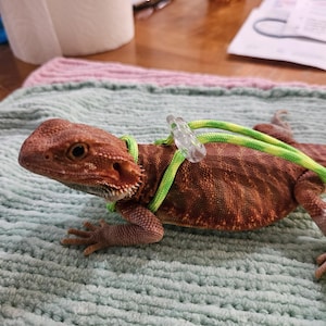 Thiason added a photo of their purchase