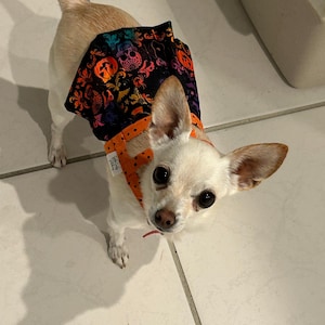 Comprador Etsy adicionaram uma foto da sua compra