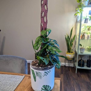 Ali added a photo of their purchase