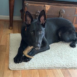 Molly added a photo of their purchase