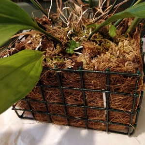 Clive ha añadido una foto de su compra