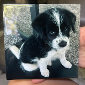 Gabriela added a photo of their purchase