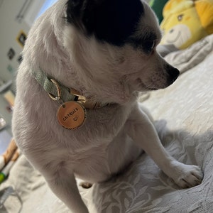 noemi added a photo of their purchase