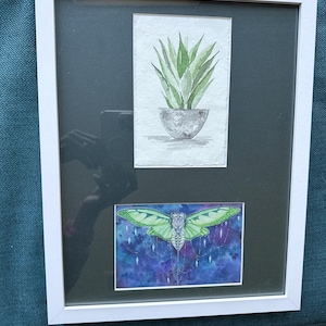 Jo added a photo of their purchase