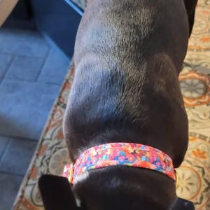 Veronica added a photo of their purchase