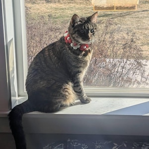 Camille added a photo of their purchase