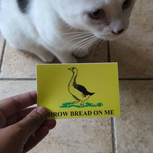 Noel added a photo of their purchase