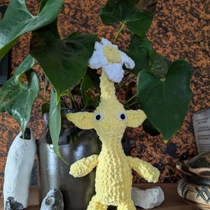 wilhelm added a photo of their purchase