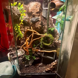 Rebekah added a photo of their purchase