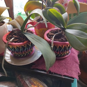 Eric added a photo of their purchase