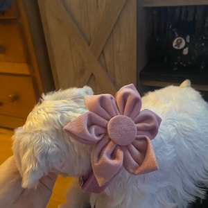 Taylor added a photo of their purchase