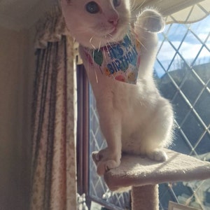 Emily added a photo of their purchase