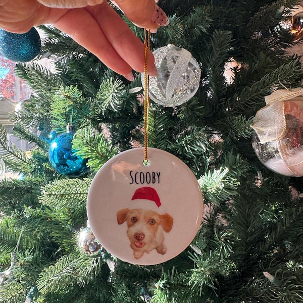 Personalized Pet Ornament Using Pet's Photo + Name Custom Ornament ...