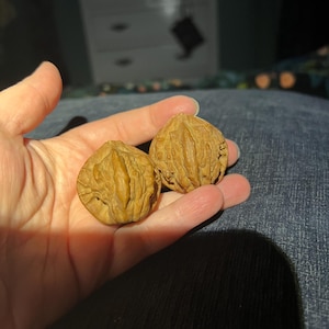 Kelley added a photo of their purchase