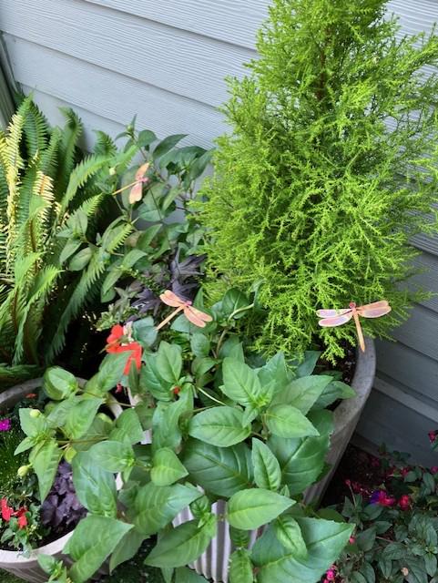 3 Copper Metal Dragonfly bouquet by Clever Goods Co- garden decor, garden accessory, plant stakes, yard art, garden art, patina, dragonflies
