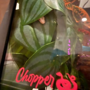 Erica added a photo of their purchase