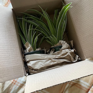 jadyn added a photo of their purchase
