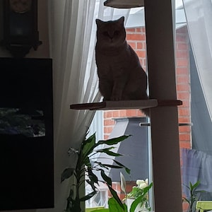 Pantita added a photo of their purchase
