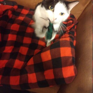 Tammy added a photo of their purchase