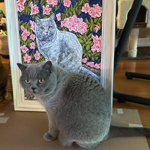 Stephen added a photo of their purchase
