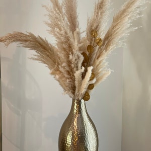 pampas