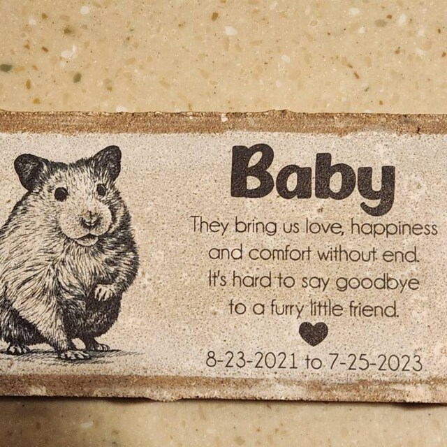 Hamster Memorial Photo Acrylic, Custom In Memory Of Hamster Acrylic Plaque, Hamster Memorial