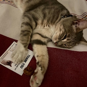 Shir added a photo of their purchase