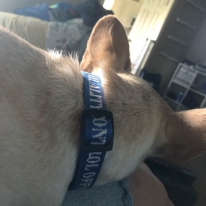 Angelica added a photo of their purchase