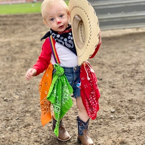 Cowboy clown costume clearance