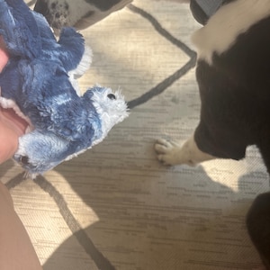 Banana ha aggiunto una foto del proprio acquisto