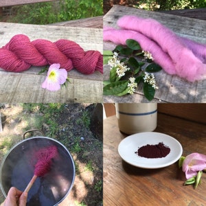 コチニール虫 - 粉末 - 天然染料 - 1オンスパック - Etsy 日本