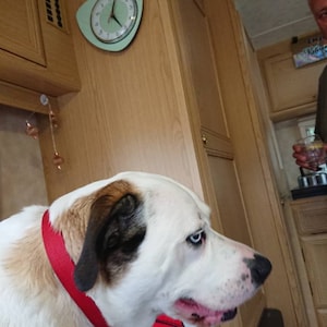 Marni added a photo of their purchase