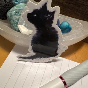 Nicole hat ein Foto des gekauften Artikels hinzugefügt