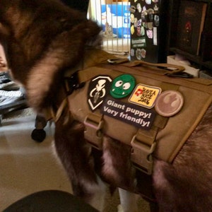 thumbnail image 2 of Dogline Bodyguard Reflective Patch – Extra Label Tag For Dog Harness 2 of 6