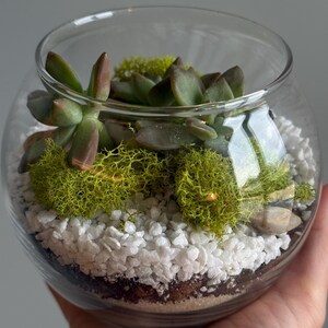 Natalia ha aggiunto una foto del proprio acquisto