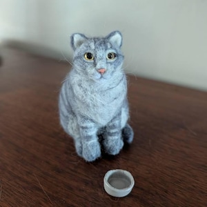 Holly added a photo of their purchase