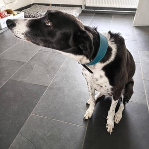 Esther heeft een foto van de aankoop toegevoegd