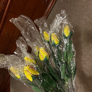 Irma added a photo of their purchase
