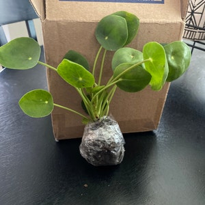 Valleen added a photo of their purchase