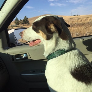 az cardinals nike shoes