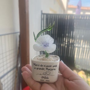 Cloé added a photo of their purchase