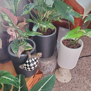 Dorothy added a photo of their purchase