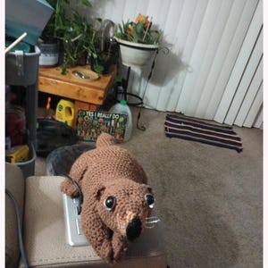 Linda added a photo of their purchase